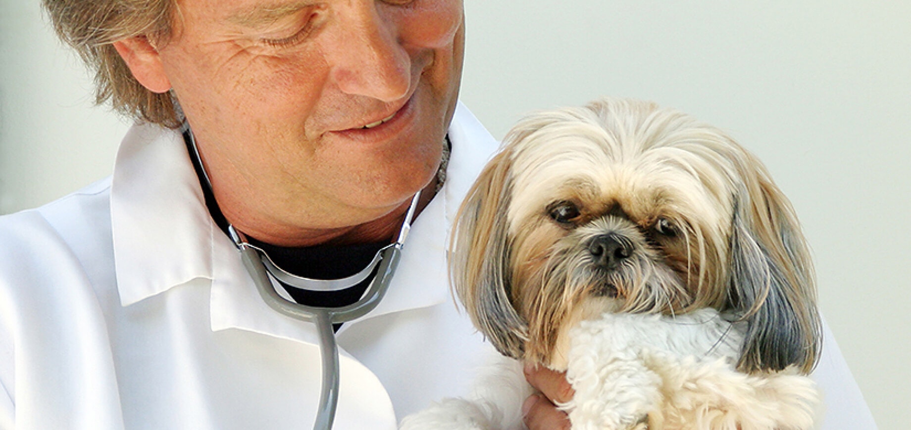 Nutritional Needs of Puppies Vs Babies