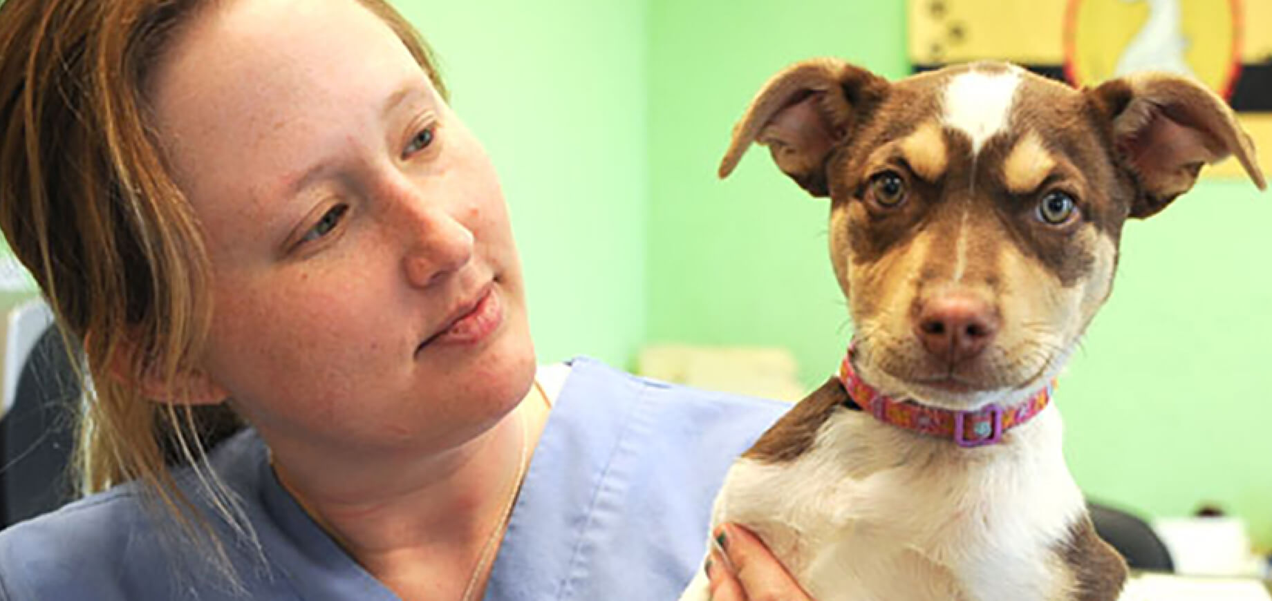 Puppy Vaccination Guide