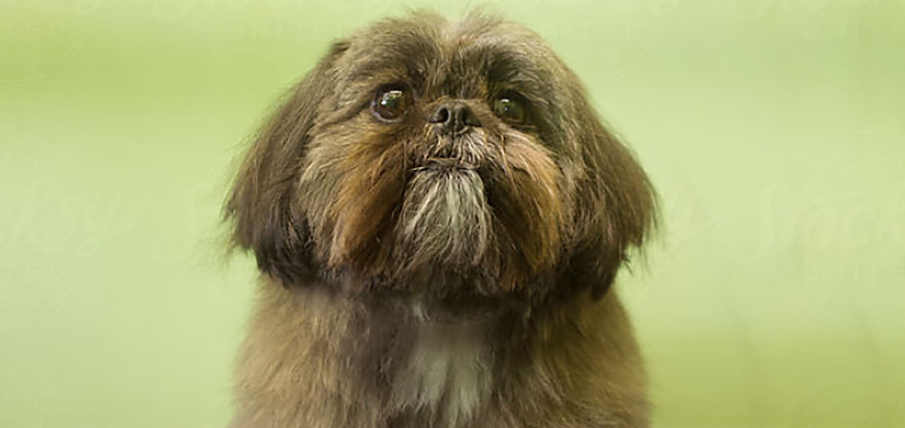 Dealing with car sickness