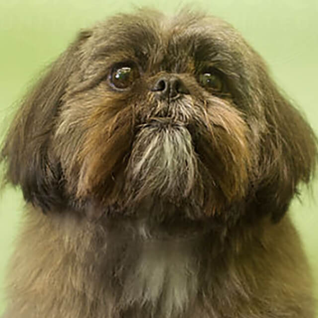 Dealing with car sickness