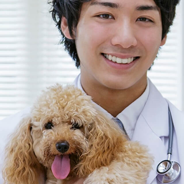 5 ways wet dog food can benefit your pooch