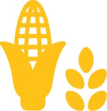 Corn and Gluten Meal