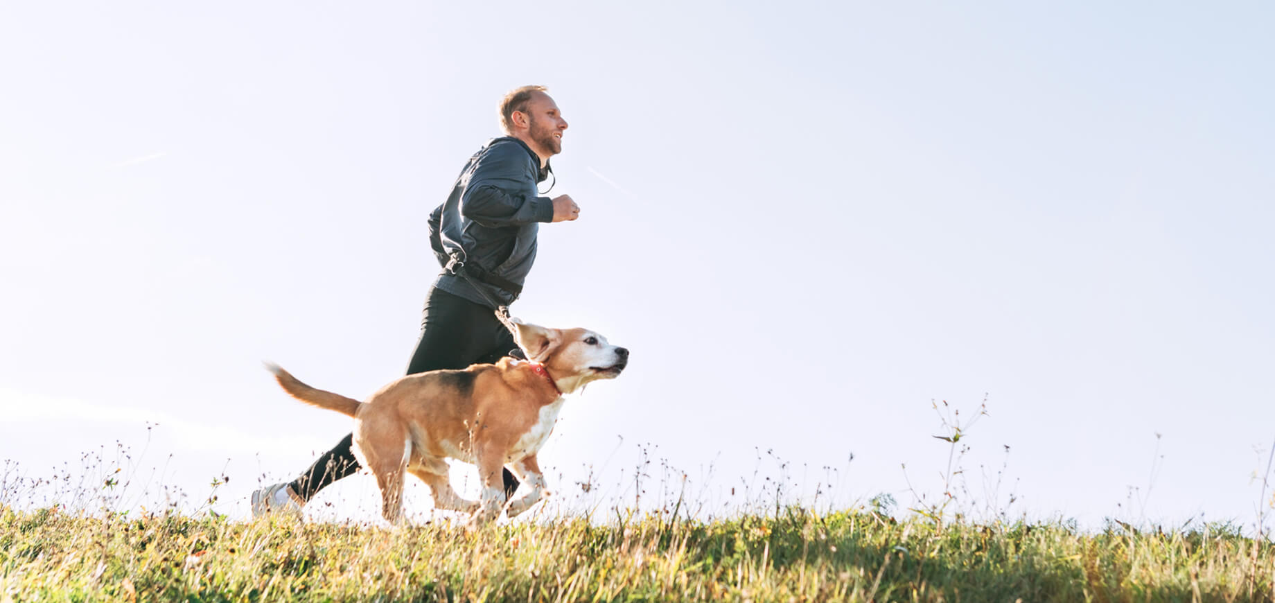 Cách thiết lập lịch trình cho chó con