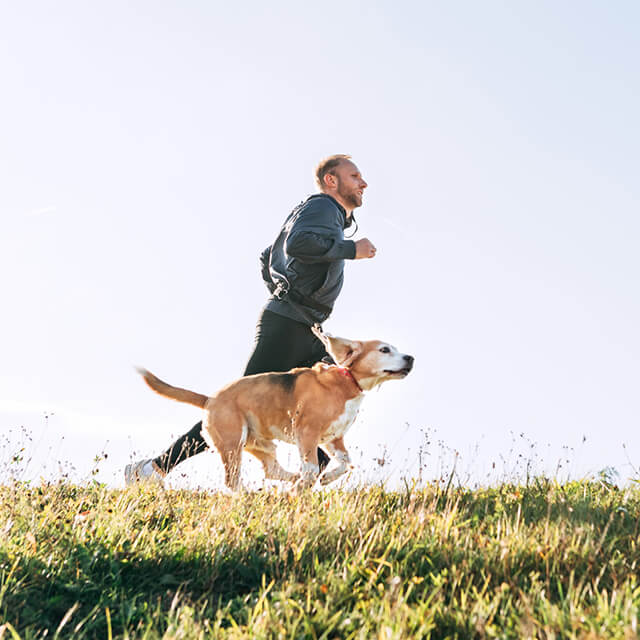 Cách thiết lập lịch trình cho chó con