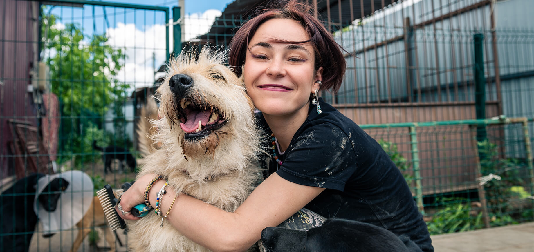 Nhận Nuôi Chó: Hướng Dẫn Đầy Đủ Cho Người Mới Bắt Đầu