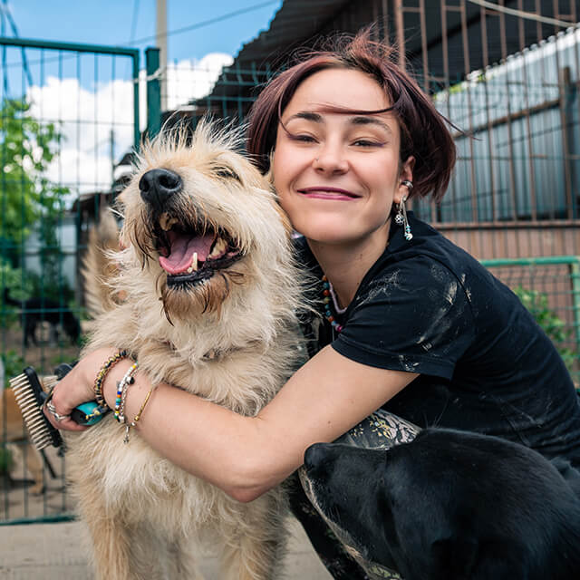 Nhận Nuôi Chó: Hướng Dẫn Đầy Đủ Cho Người Mới Bắt Đầu