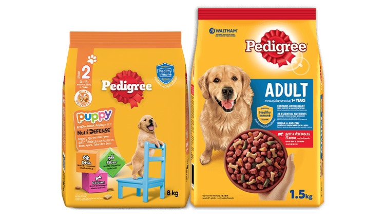Thức ăn khô giàu dinh dưỡng cho chó con và chó trưởng thành